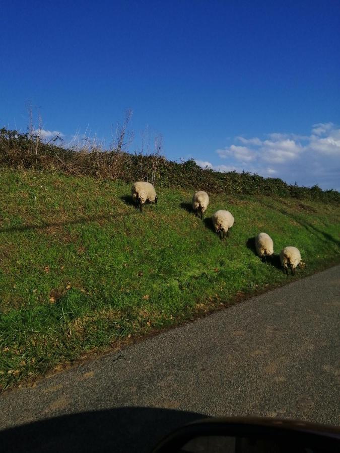 Au Repos Du Verger Couvrelles Exteriör bild